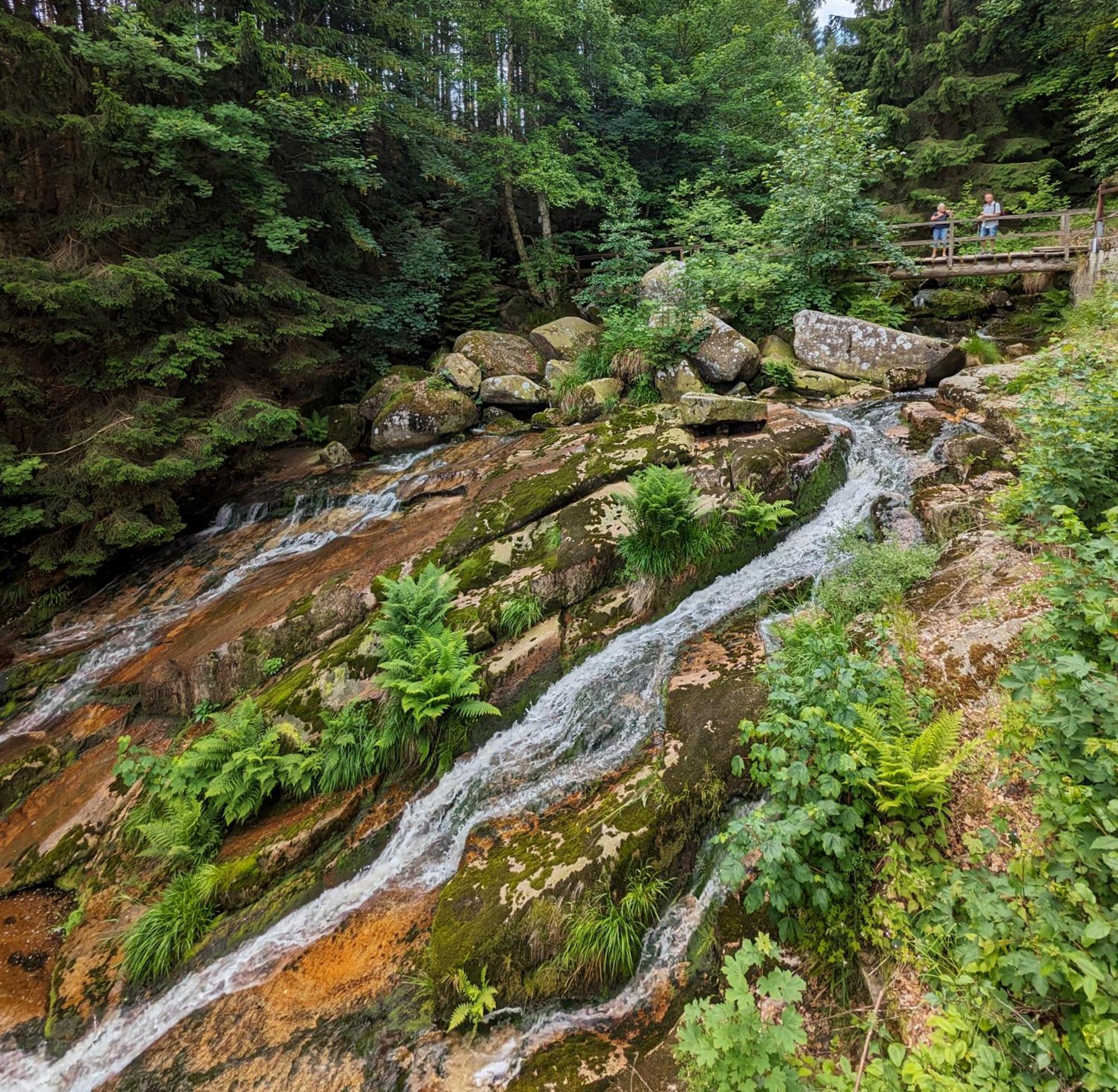 Waldgasthaus & Berghotel Steinerne Renne Wernigerode Exteriör bild