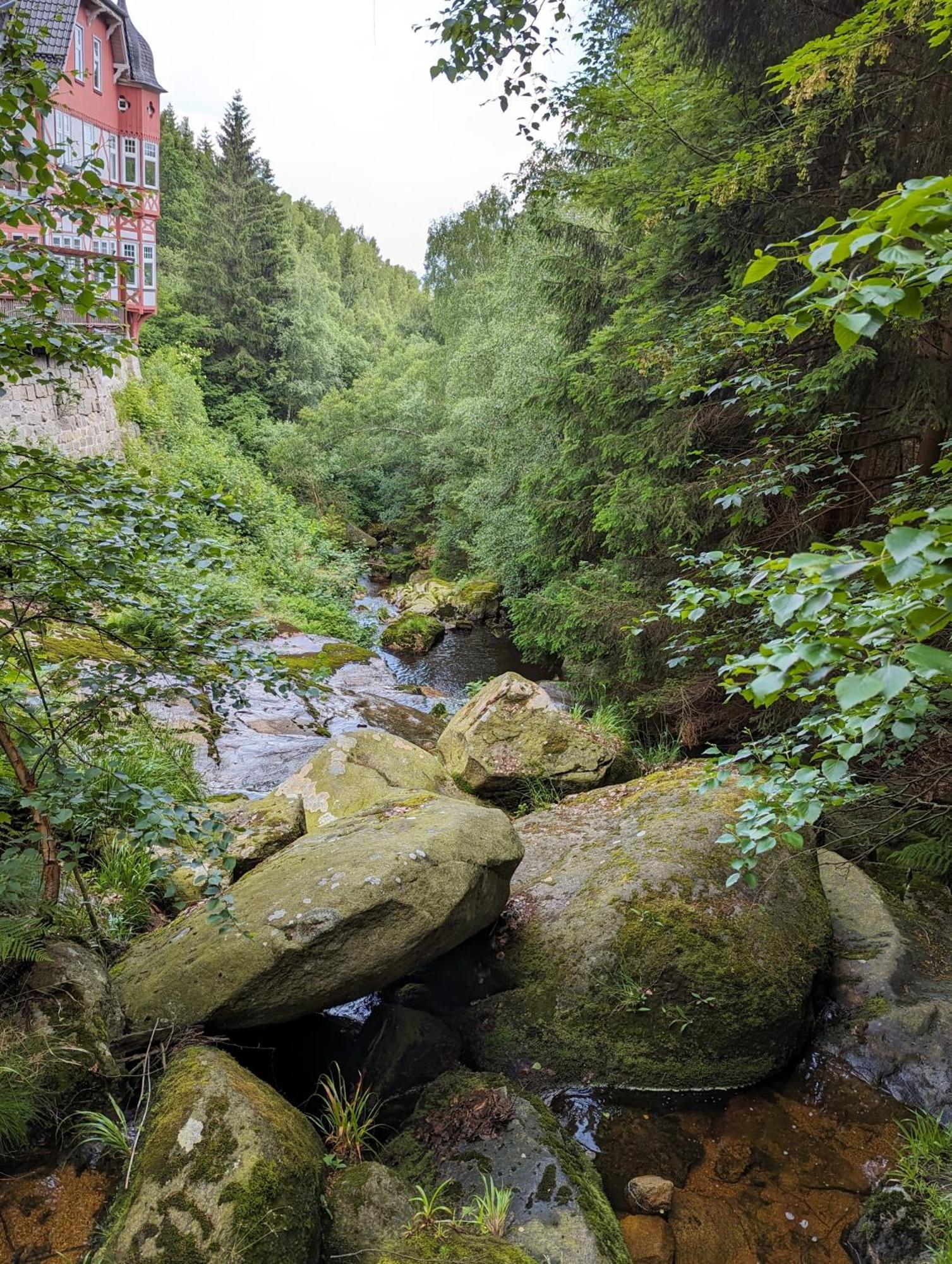 Waldgasthaus & Berghotel Steinerne Renne Wernigerode Exteriör bild