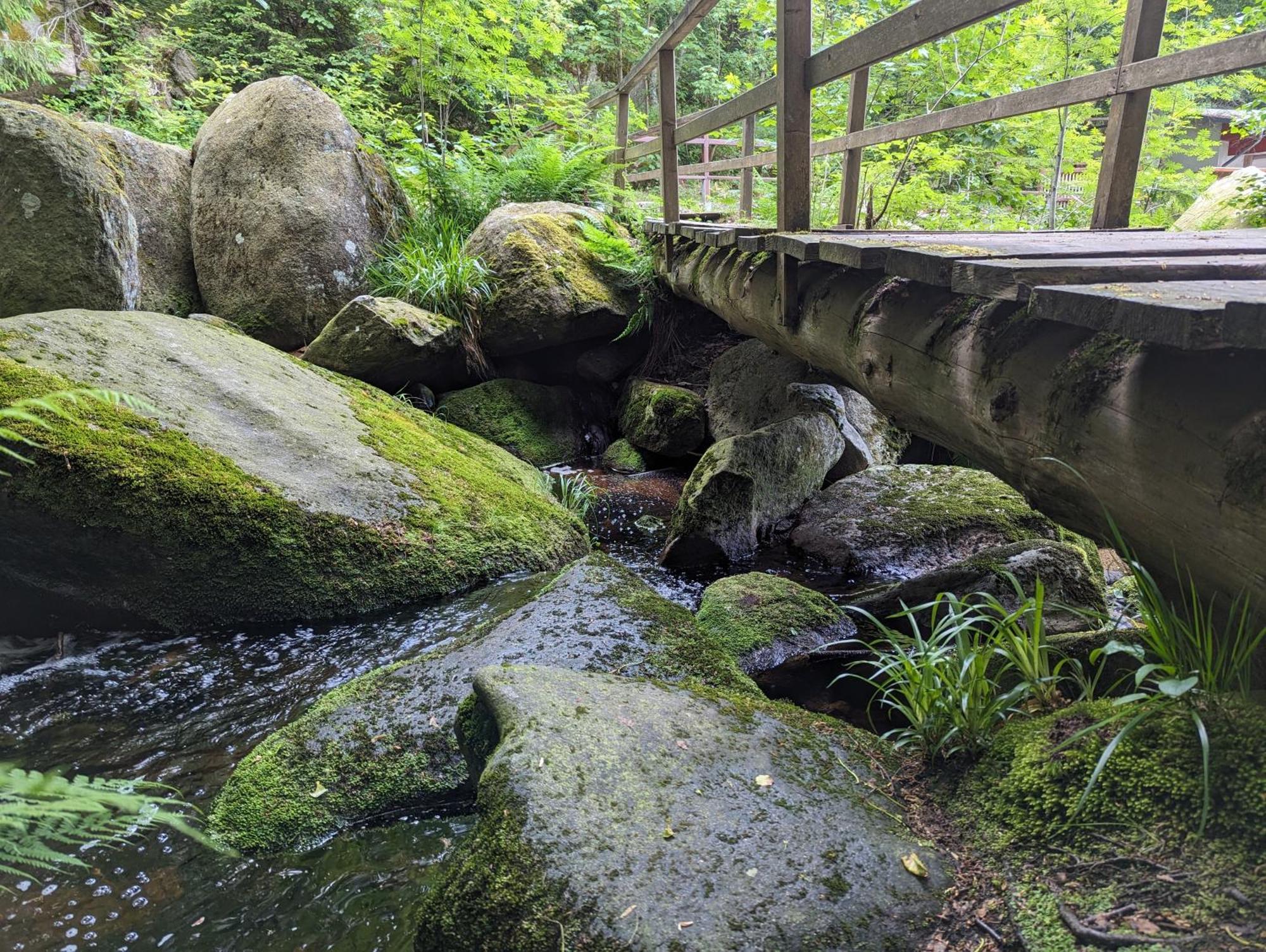 Waldgasthaus & Berghotel Steinerne Renne Wernigerode Exteriör bild