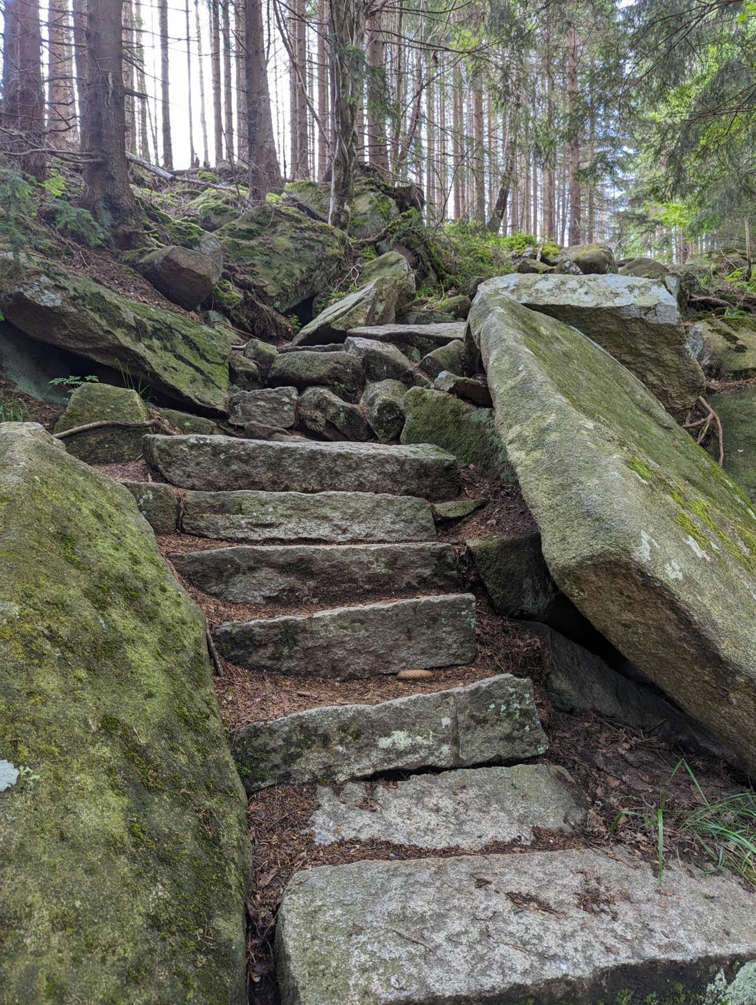Waldgasthaus & Berghotel Steinerne Renne Wernigerode Exteriör bild